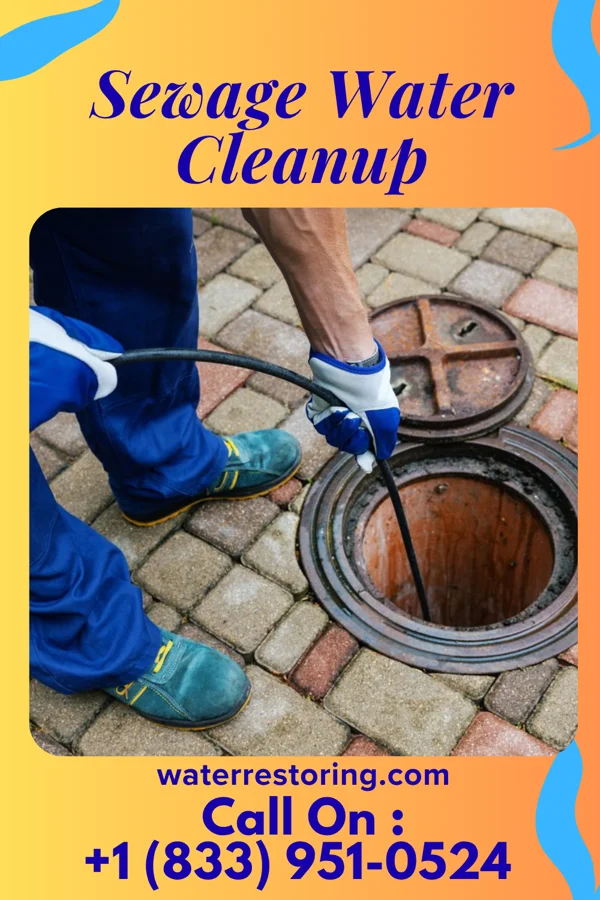 Sewage Water Cleanup in Tuckers Crossroads, TN